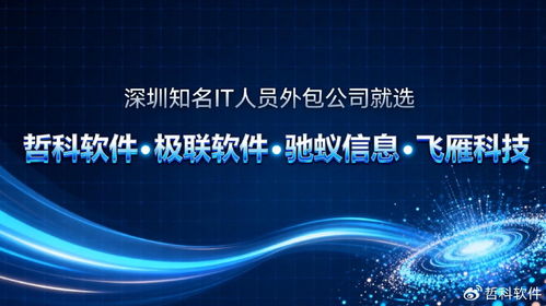 深圳知名IT人員外包公司為何能持續(xù)領(lǐng)跑市場